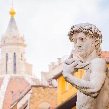 David by Michelangelo in Florence, Italy. Example of body