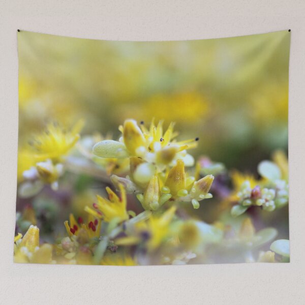 Item preview, Yellow Sedum designed and sold by Henrik Lehnerer.