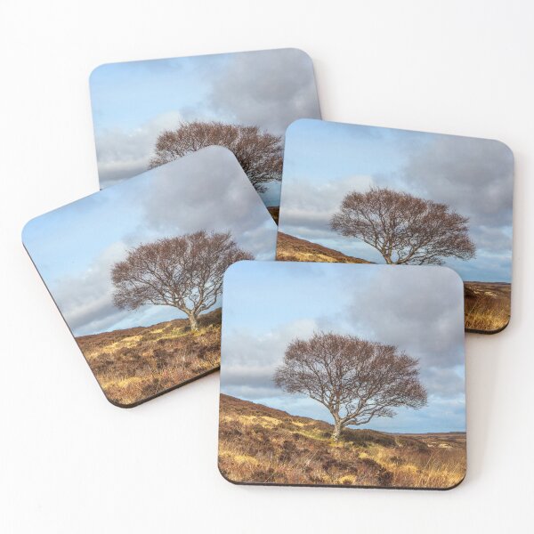 Item preview, Highland hillside tree designed and sold by Dave Hare Photography.