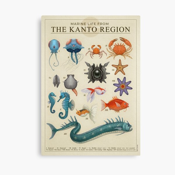Marine Life from Kanto Canvas Print