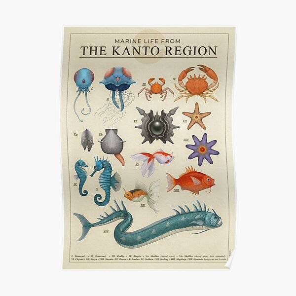 Meereslebewesen von Kanto Poster