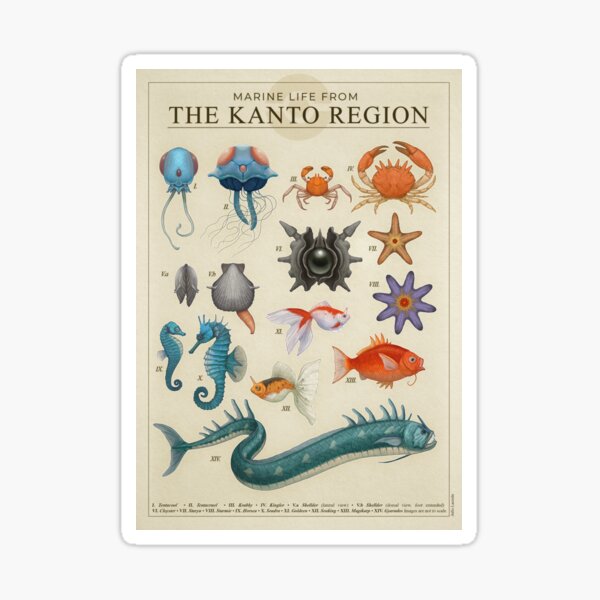 Marine Life from Kanto Sticker