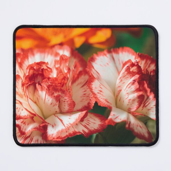 Item preview, Striped Carnations and Gerbera designed and sold by Andulka.