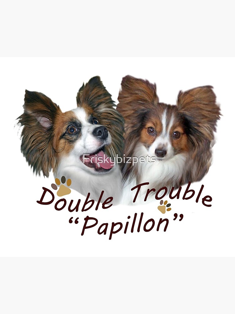 Double Trouble Border Collie Print Customised Dog Print 