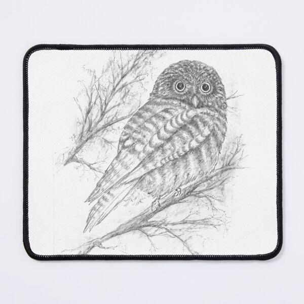 Item preview, Barred Owl designed and sold by Patti Dwyer.