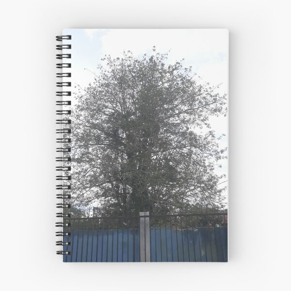 Item preview, Huge Cotton Tree designed and sold by ZulvianaIndah90.