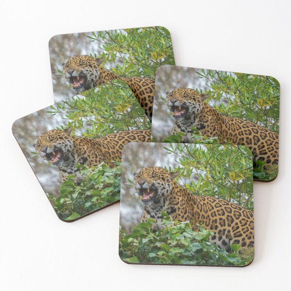 Item preview, Jaguar Growl designed and sold by rawshutterbug.