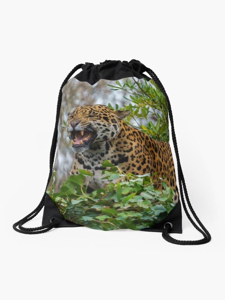 Jaguar Growl Drawstring Bag for Sale by rawshutterbug Redbubble