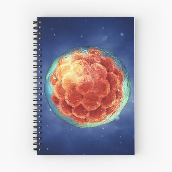 Item preview, Embryogenesis designed and sold by nobeastsofierce.