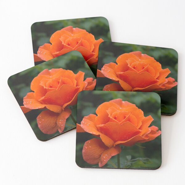 Item preview, Wet Beauty - Hot Orange Rose with Raindrops designed and sold by Georgia Mizuleva.