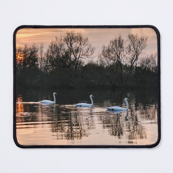 Item preview, Three Swans designed and sold by TheArtfulAI.