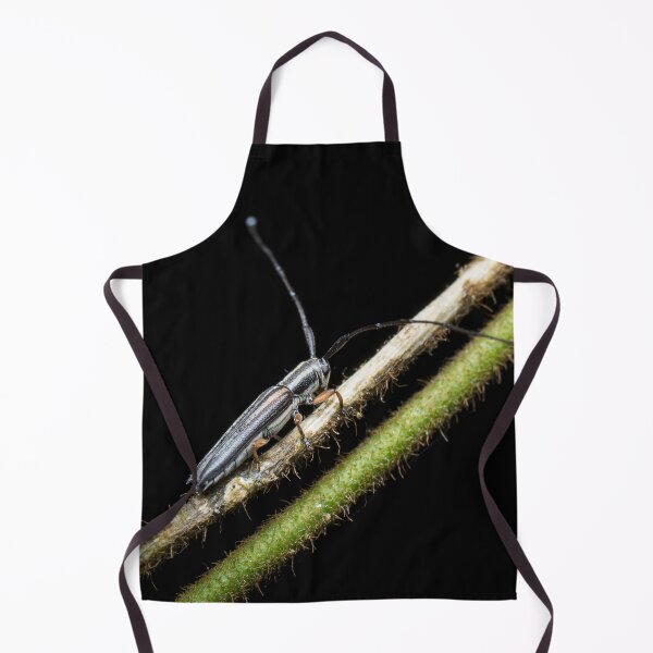 Item preview, A longhorn beetle (Nyctimenius tristis) designed and sold by AvonPerception.