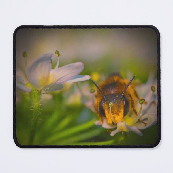 Item preview, THE BIRDS AND THE BEES designed and sold by NICK COBURN PHILLIPS.