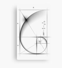 Golden Ratio - Large Canvas Print
