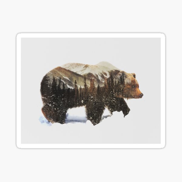 Arctic Grizzly Bear Sticker