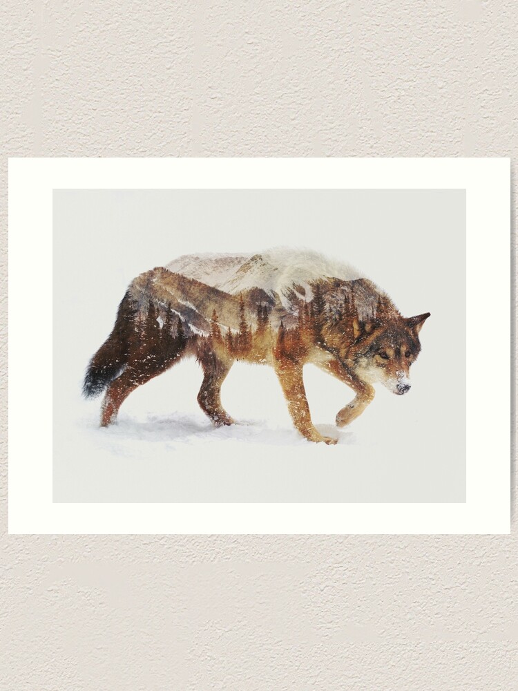 Arctic Wolf Art Print