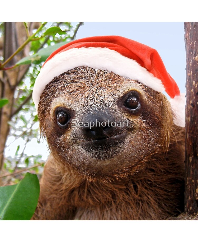 Funny baby sloth in a Christmas Santa 
