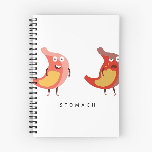 Item preview, Healthy vs Unhealthy Stomach Infographic Illustration designed and sold by topvectors.