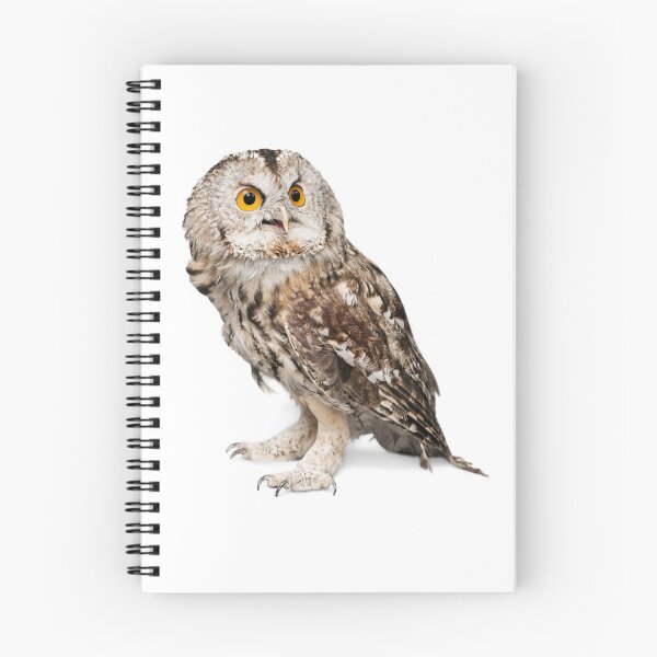 Item preview, Owl designed and sold by Unindiv.