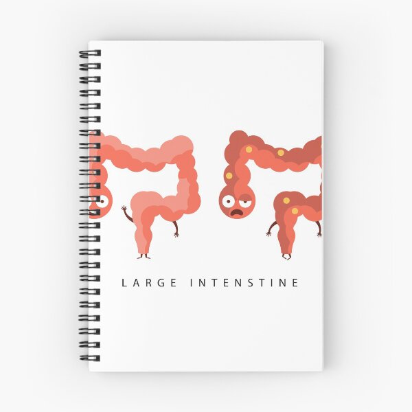 Item preview, Healthy vs Unhealthy Large Intestine Infographic Illustration designed and sold by topvectors.