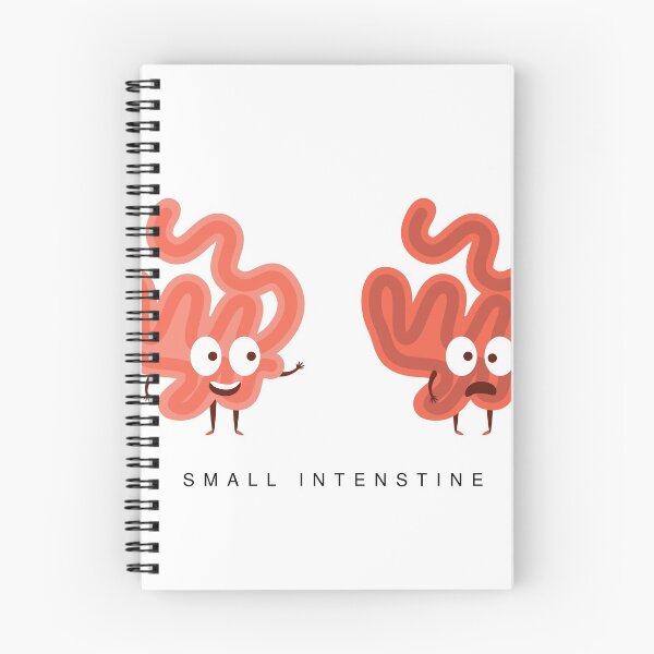 Item preview, Healthy vs Unhealthy Small Intestine Infographic Illustration designed and sold by topvectors.