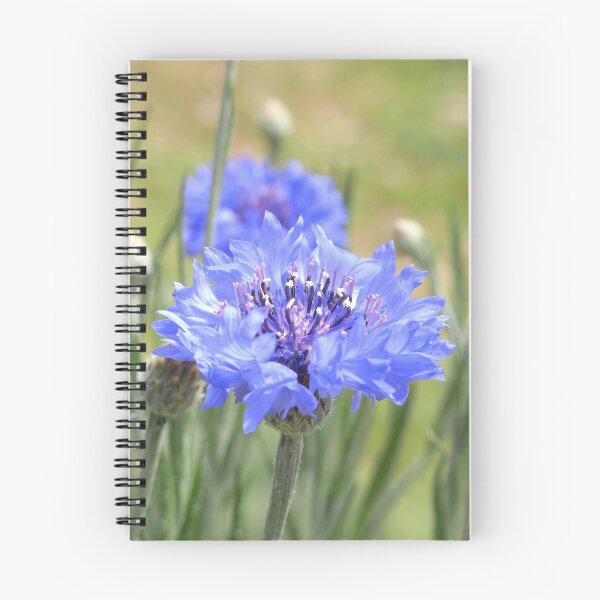 Item preview, cornflower blue IV designed and sold by Floralynne.