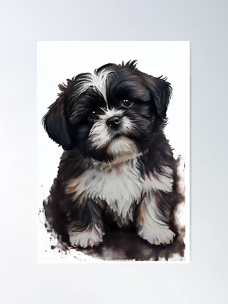 Cute Shih Tzu Black And White Diamond Painting 