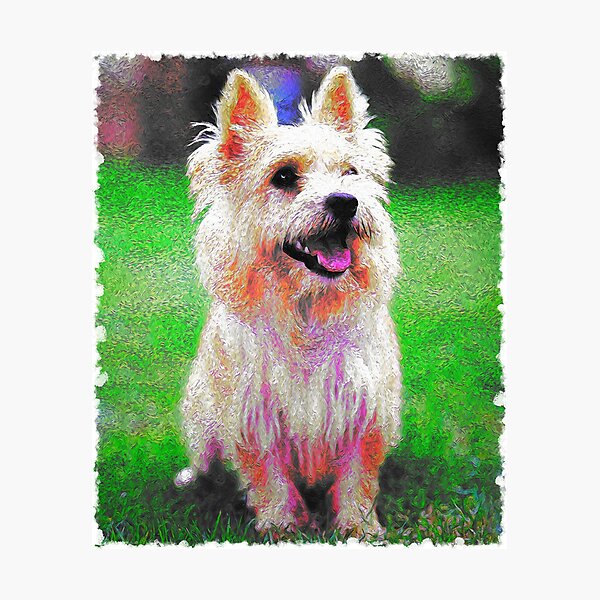 Norwich Terrier Wall Clocks. Beautifully top Handcrafted. FREE SHIPPING. All Coat Colors Possible. Terrier Clocks.