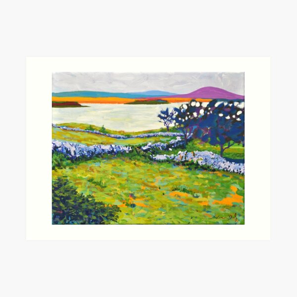 Dooghill, Mayo. Ireland Art Print