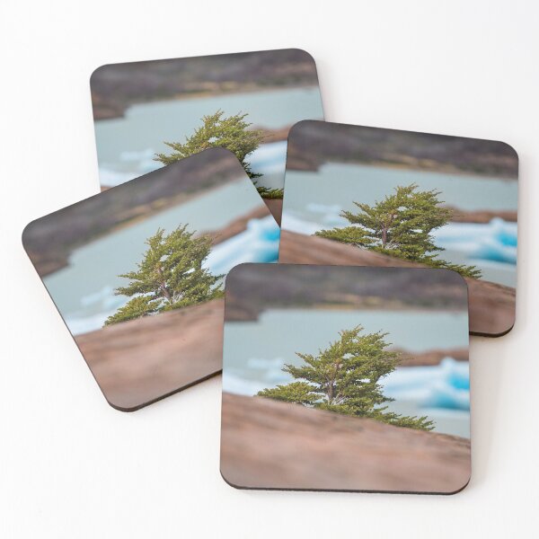 Item preview, Patagonian Tree designed and sold by Dave Hare Photography.