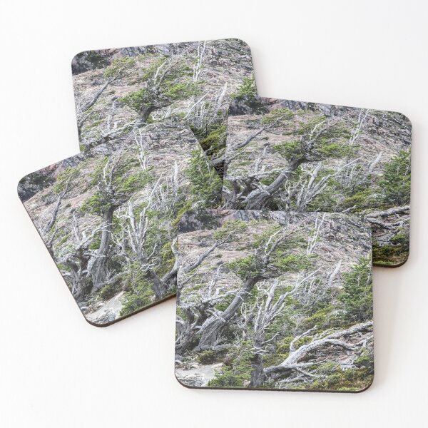 Item preview, Windswept Woodland designed and sold by Dave Hare Photography.
