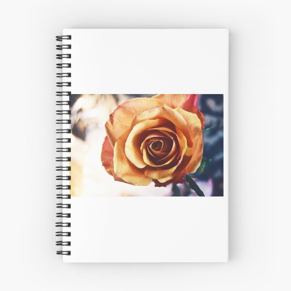 Item preview, Light Rose designed and sold by eiselsteinphoto.