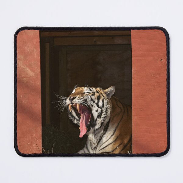 Item preview, Tiger yawn designed and sold by brookecabin.