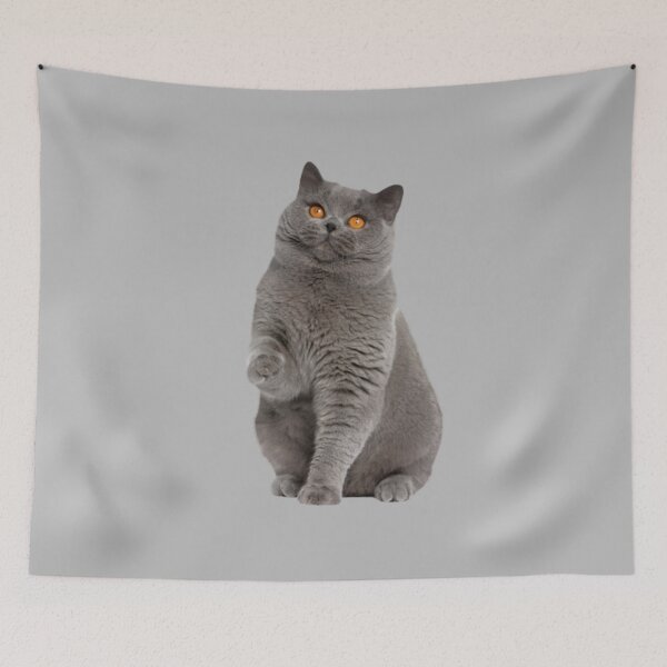 Item preview, CAT designed and sold by ZIFAR Lux.