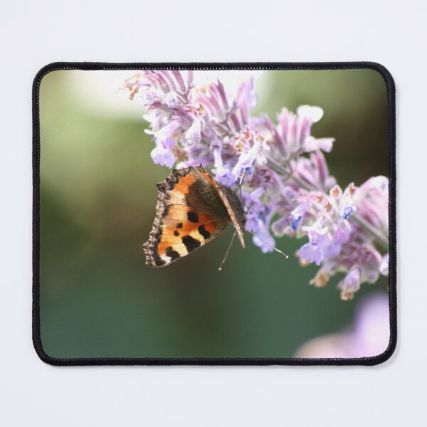 Item preview, Butterfly hanging on designed and sold by Johanna Almgren.