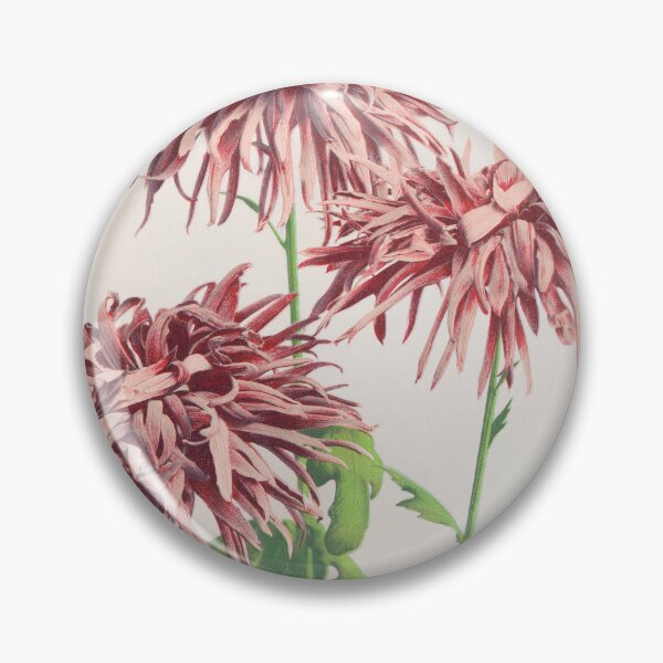 Item preview, Pink Chrysanthemum designed and sold by superbling.