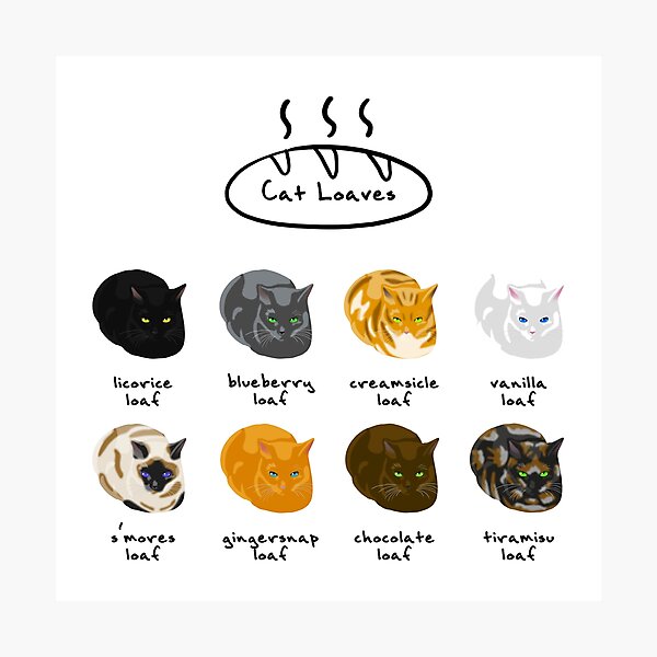 Cat Loaf Flavors Photographic Print By Cccdesign Redbubble