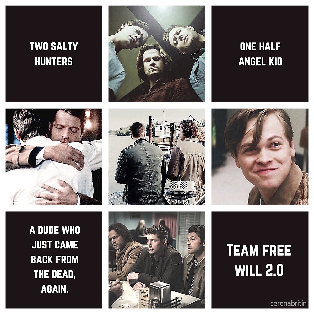  aesthetic team free will 2 0 classic version by serenabritin