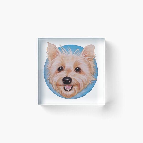 Item preview, "Get Happy-Get Shorty" (Blue Circle) designed and sold by Dale  Sizer.