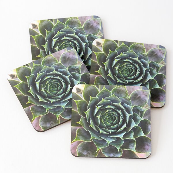Item preview, Sacred Succulent  designed and sold by DTrickta.