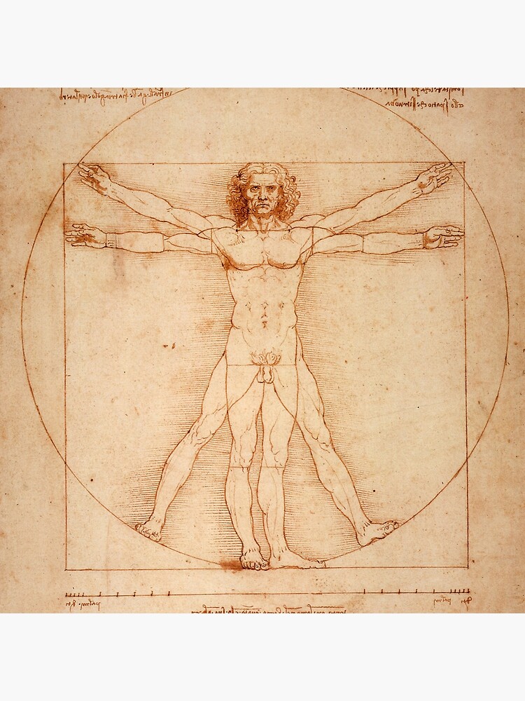 The proportions of the human figure (The Vitruvian Man), 1492 - Leonardo da  Vinci 