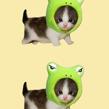 Cat Bag Frog Sticker
