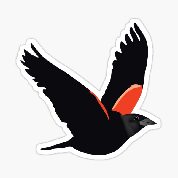 Blackbird Flying Sticker