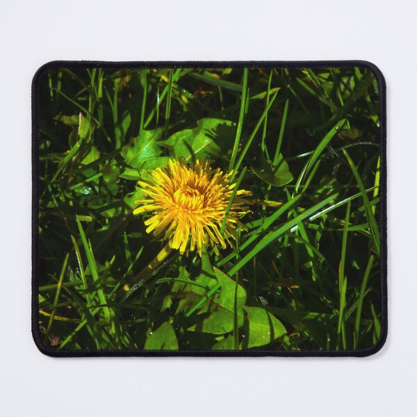 Item preview, dandelion designed and sold by Francespoppy.