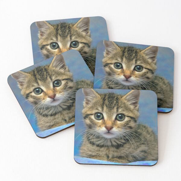 Item preview, Gatito designed and sold by Rick Knowles Photo Art.