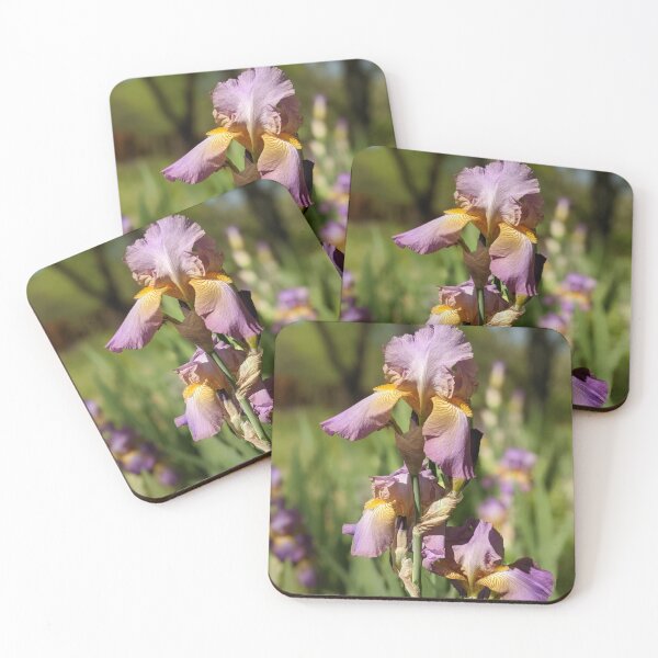 Item preview, Lavender Irises designed and sold by AustaArt.