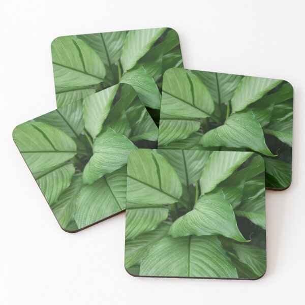 Item preview, Peace Lily Leaves, Platinum Mist designed and sold by Azriel Wiorek.