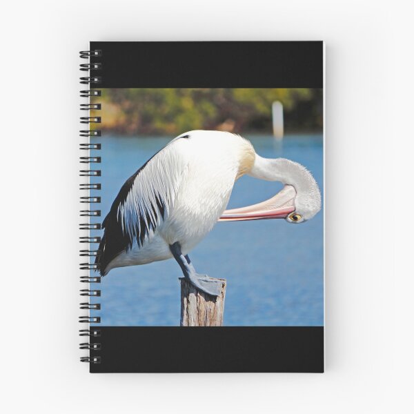 Item preview, Australian Pelican designed and sold by Nicholas Blackwell.