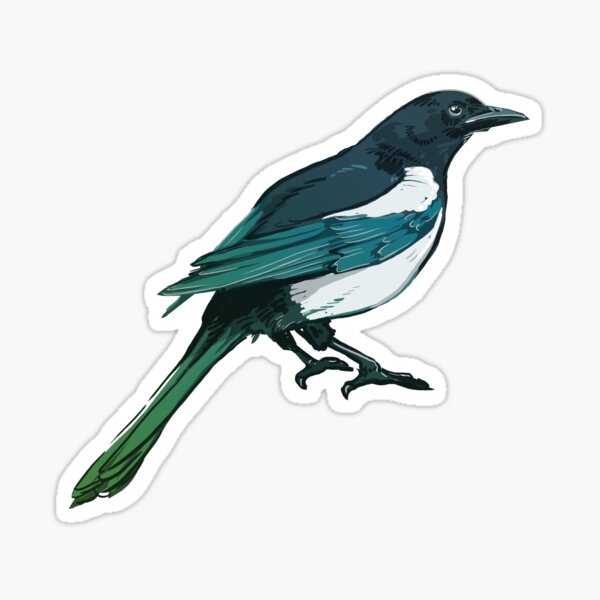 Magpie Stickers for Sale