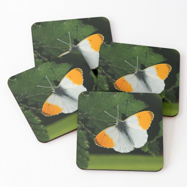 Item preview, Anthocharis cardamines designed and sold by iago rodriguez dopico.